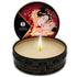 Shunga - Mini Caress By Candlelight Display Massage Candles 24 Units