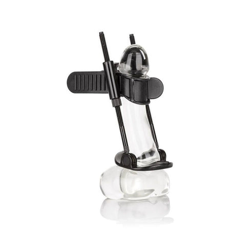 Calexotics - Penis Extender